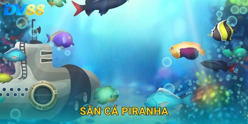 Săn Cá Piranha DV88 – Chinh Phục Thử Thách Kịch Tính Trên Đại Dương