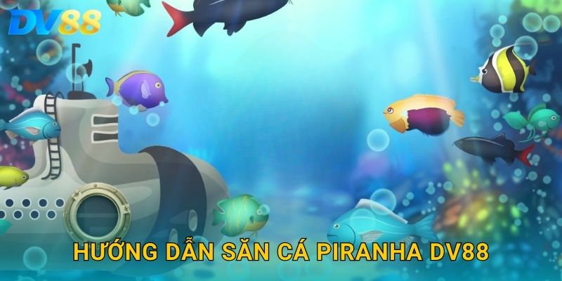 Hướng dẫn săn cá Piranha DV88