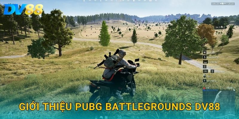 PUBG Battlegrounds DV88 – Trải Nghiệm Cá Cược Kịch Tính Mỗi Ngày 2 Giới thiệu PUBG Battlegrounds DV88