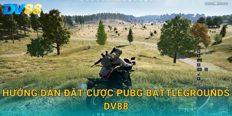 PUBG Battlegrounds DV88 – Trải Nghiệm Cá Cược Kịch Tính Mỗi Ngày 3 Hướng dẫn đặt cược PUBG Battlegrounds DV88