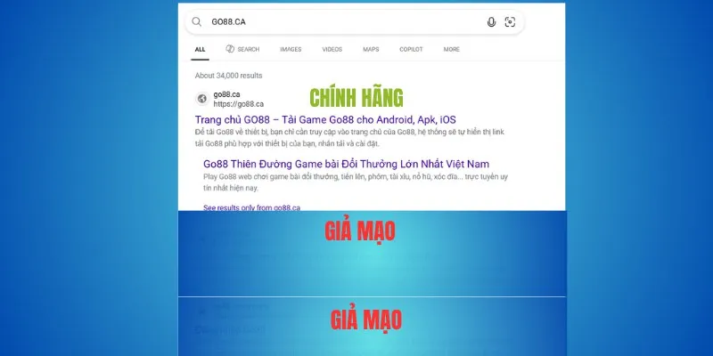 Đừng nhầm – Go88 thật là go88.com hoặc go88.ca 3 Miền go88.ca – bước tiếp theo của Go88